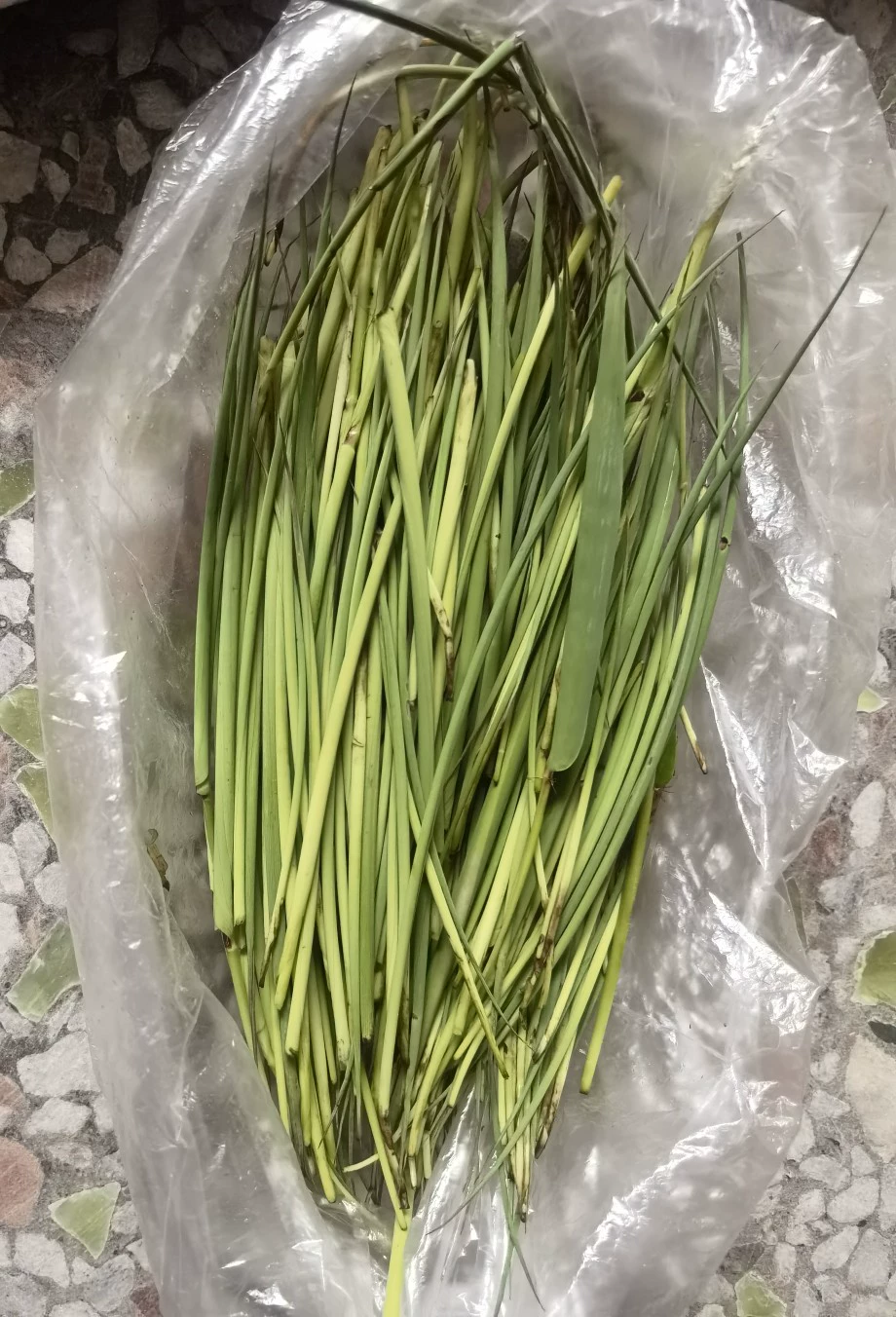 权利的游戏第四季剧情简介_权利的游戏第四季讲的什么_权利的游戏第四季第三集