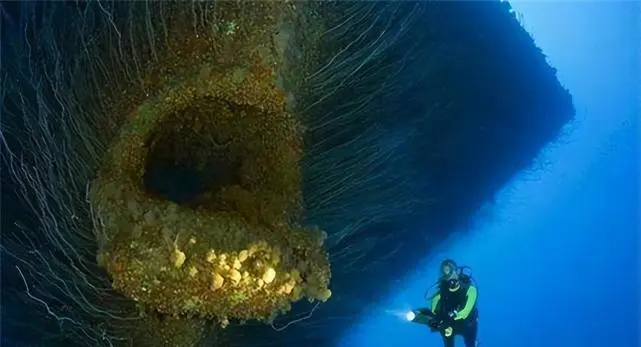 森美海底历险记粤语_森美海底历险_森美海底历险记