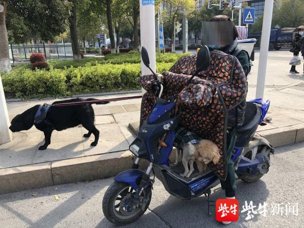 指挥交通的指挥怎么写_指挥交通属于什么部门_交通指挥官