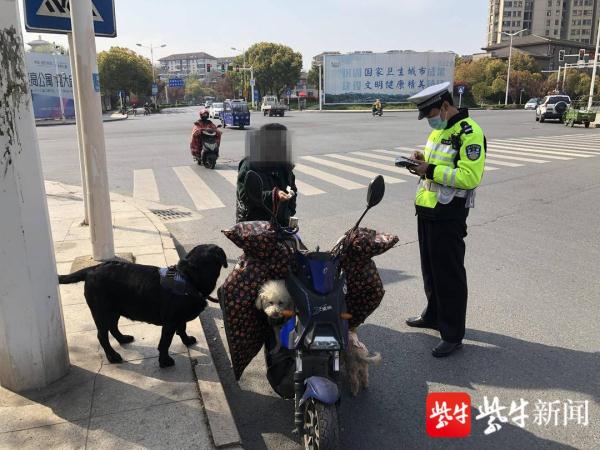 指挥交通属于什么部门_交通指挥官_指挥交通的指挥怎么写