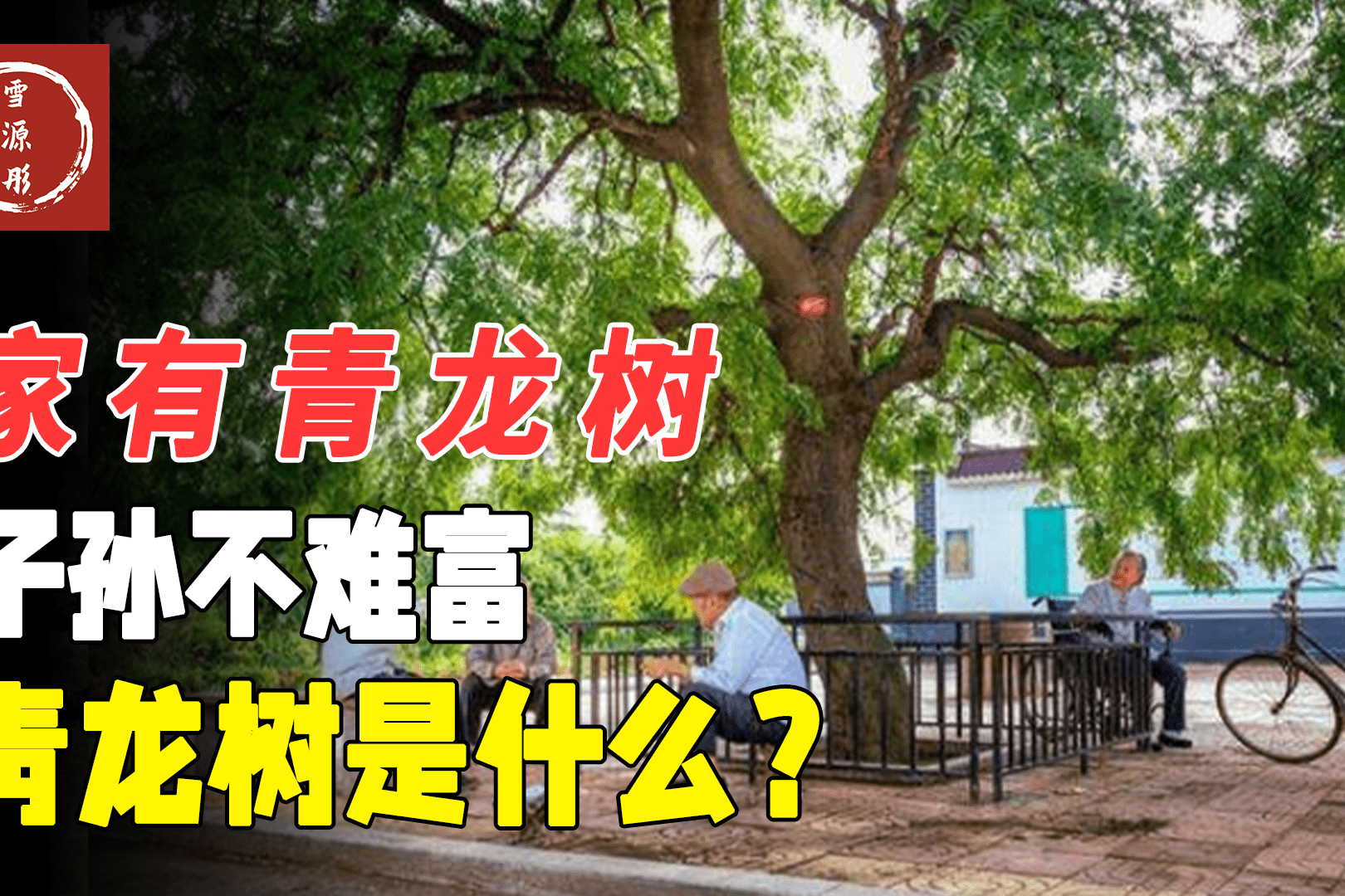 逃出监狱跑酷游戏_逃出青龙山游戏_一个游戏逃出爱丽丝疯人院