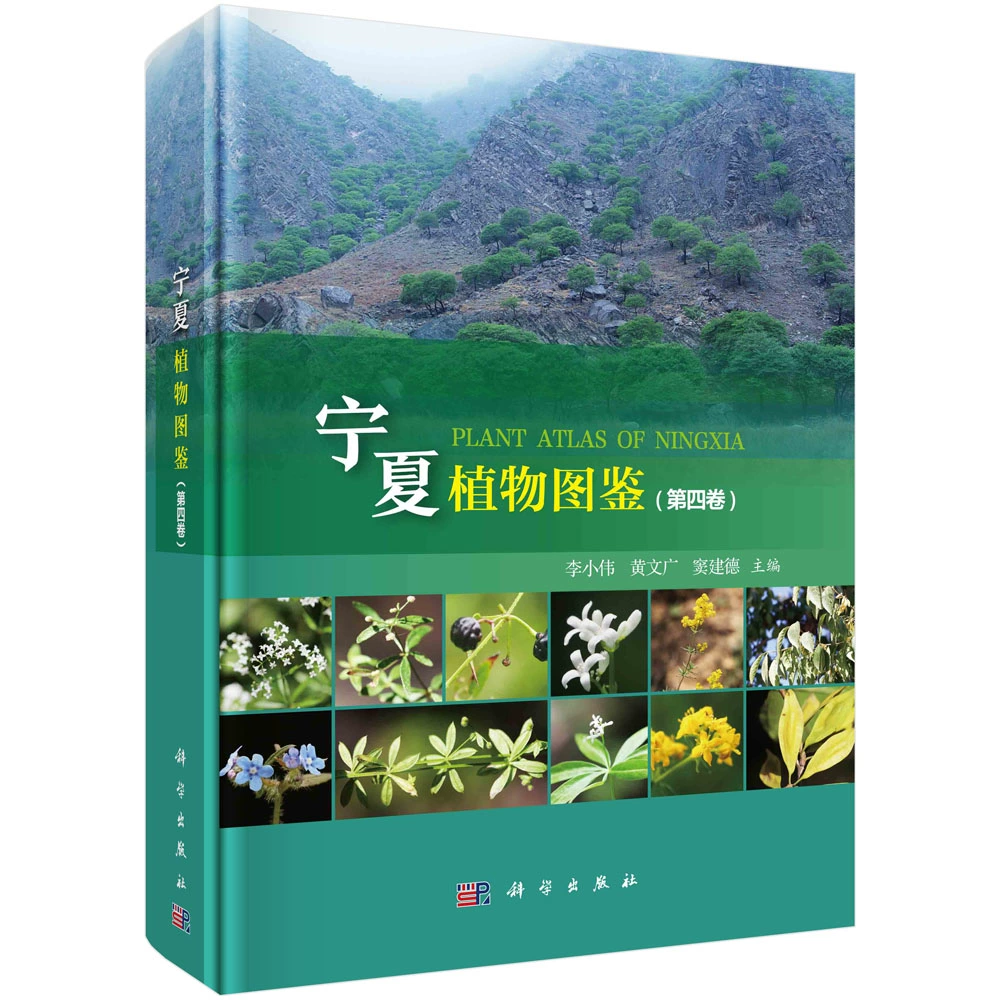 窦建德厉害吗_窦建德 游戏_窦建德手下