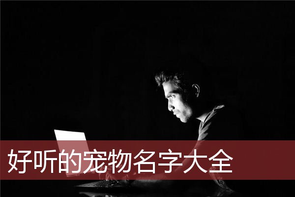 炫舞宠物名字可爱洋气_炫舞宠物名字大全超拽_qq炫舞宠物pk名字
