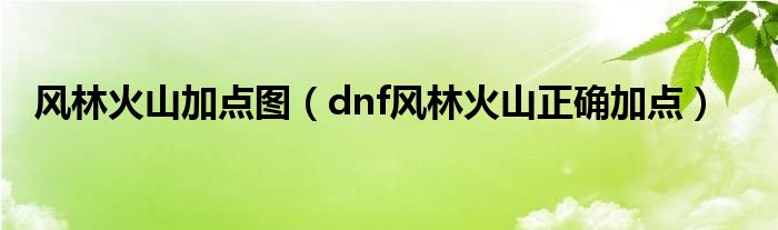 dnf风林火山100级加点_dnf风林火山加点_dnf风林火山二觉