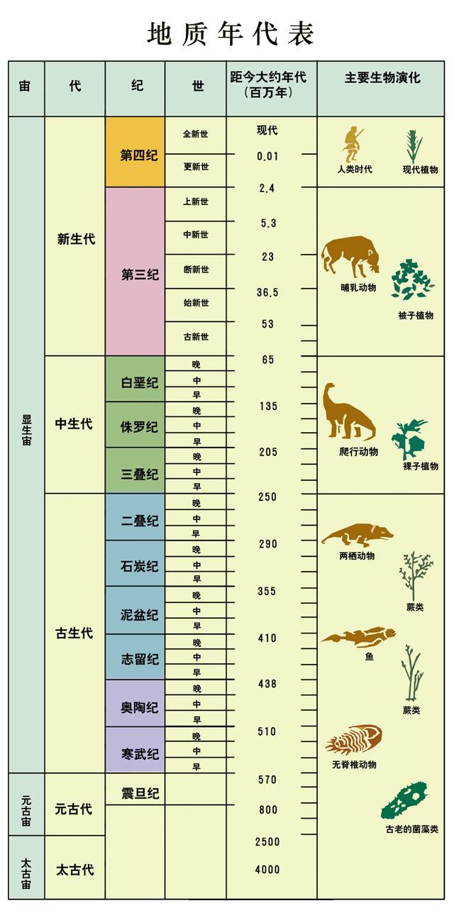 化石龙怎么获得_化石龙和化石鱼怎么合成_化石龙