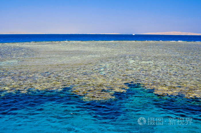 珊瑚砂是什么东西_珊瑚砂和珊瑚骨有什么区别_珊瑚砂