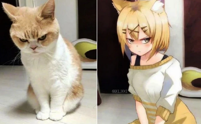 百变小女巫_女巫变身游戏_百变巫女视频