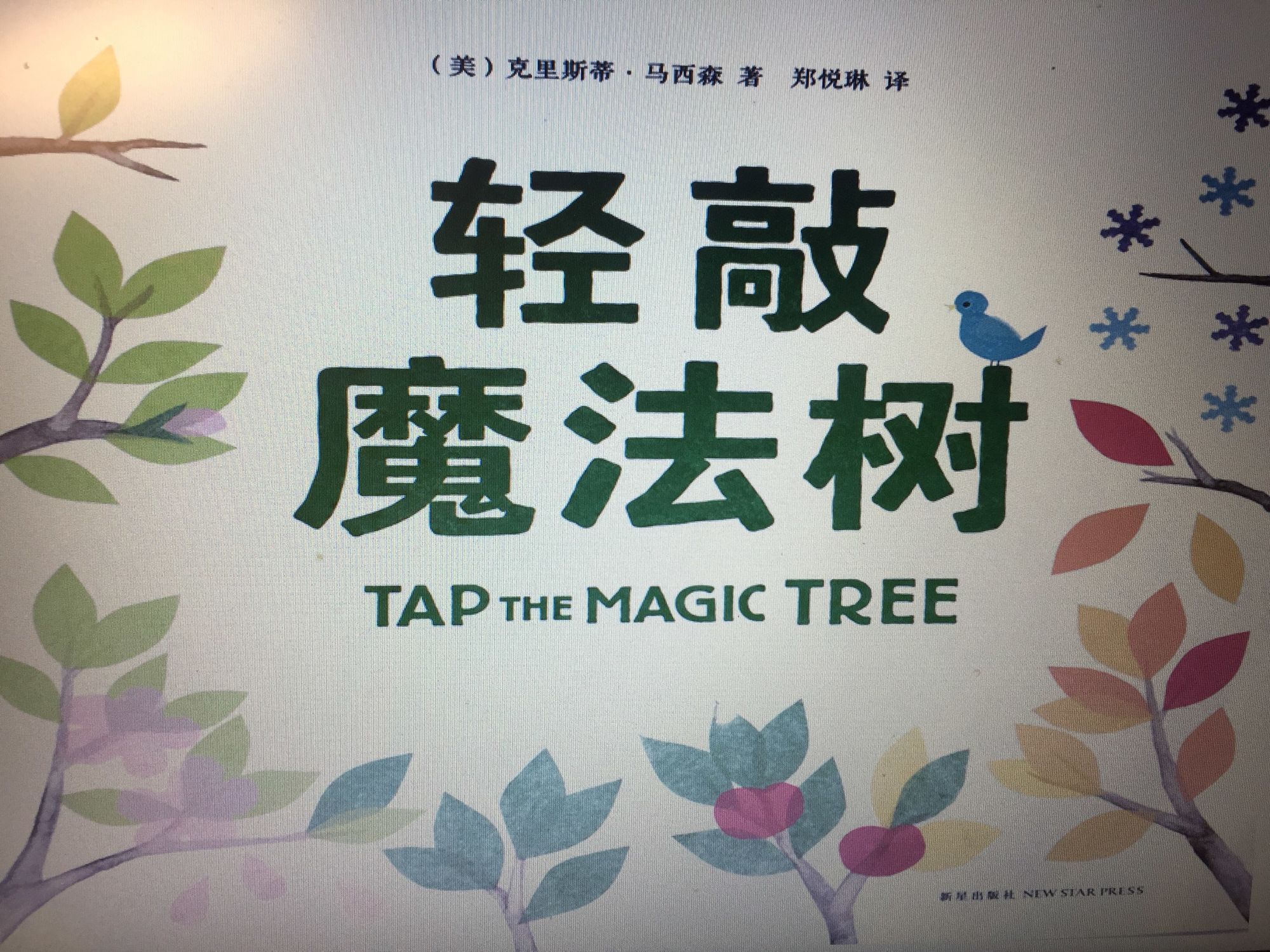 魔法老师_小p老师魔法课堂_魔法禁书目录的老师