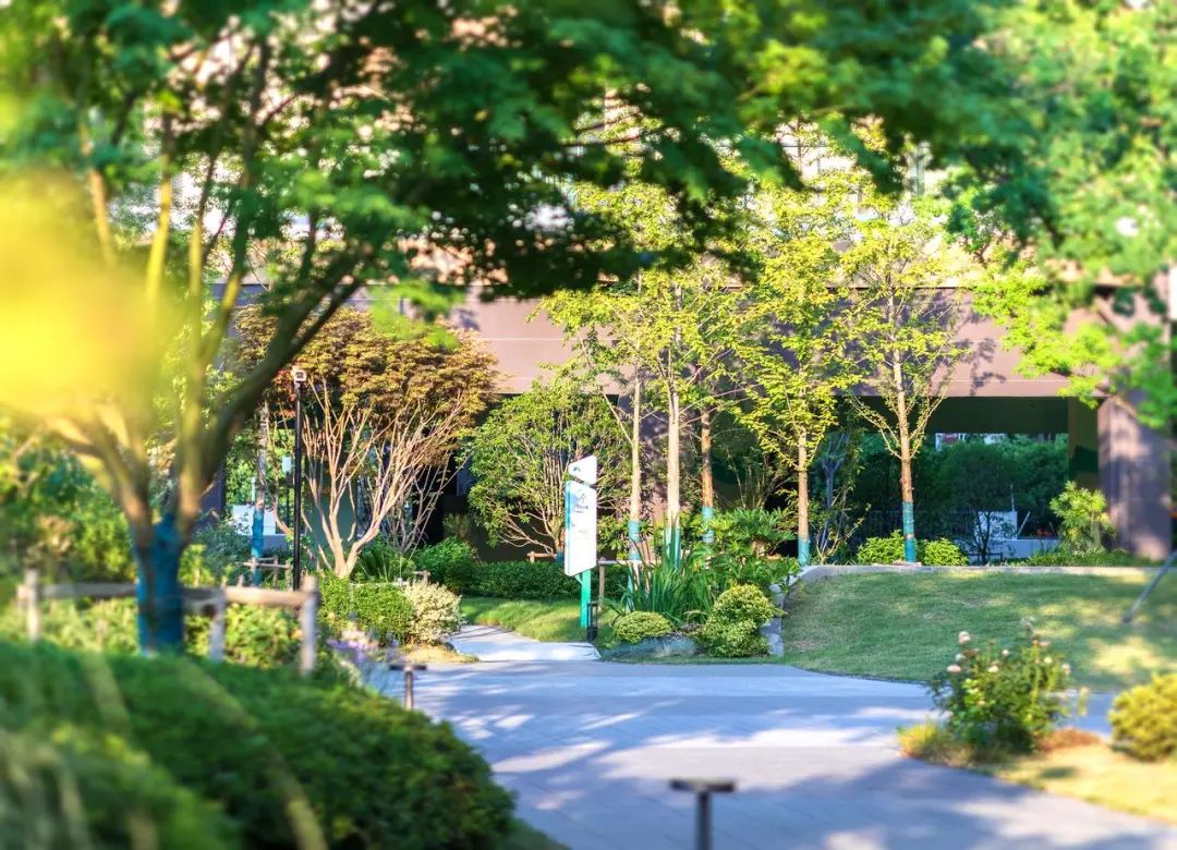 龙彩网是干什么的_彩龙社区_彩龙社区是什么