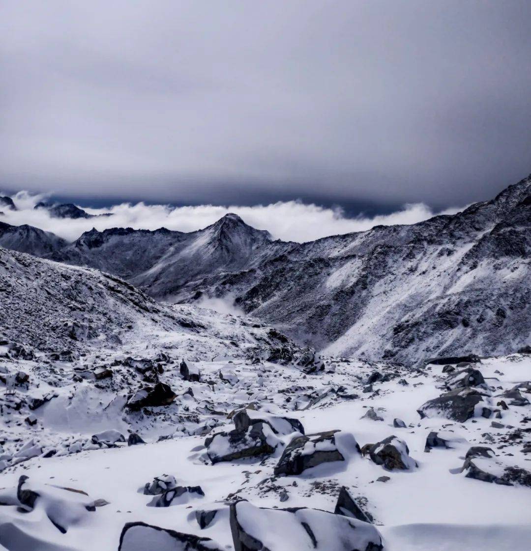 葬雪歌曲_雪葬_葬雪心经