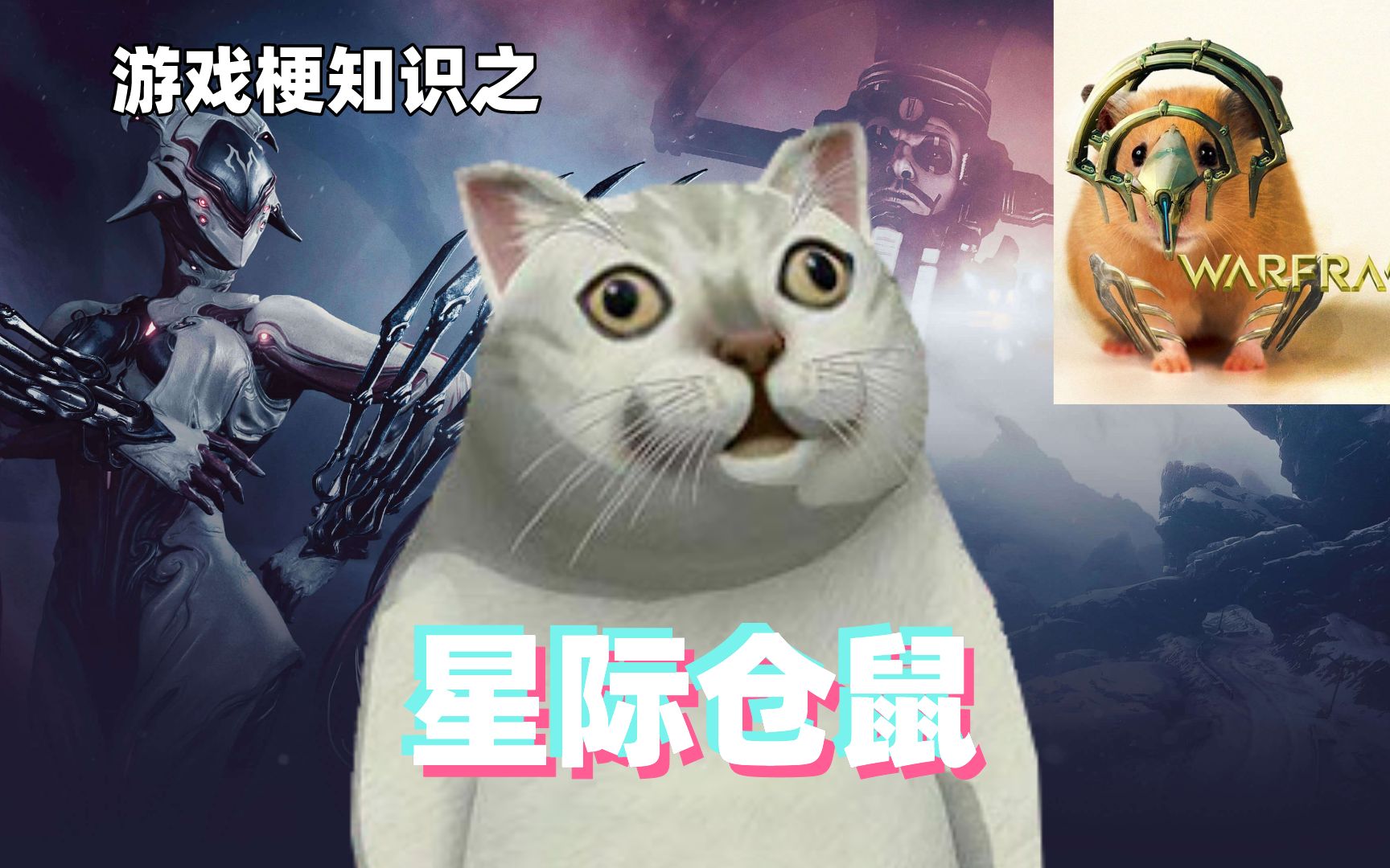 星际仓鼠是什么游戏_星际仓鼠_星际仓鼠什么意思
