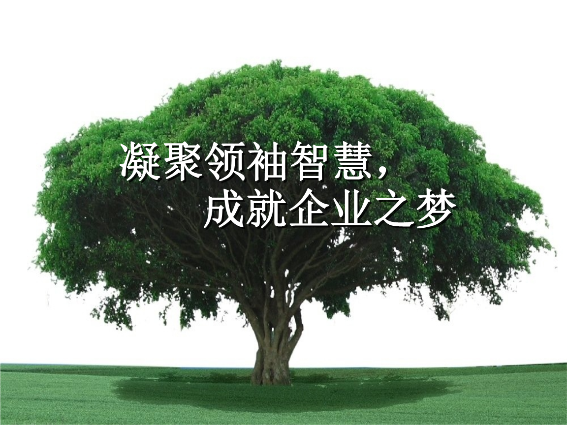 一龙九凤小说传奇_一龙九凤_一龙九凤是天盘还是地盘