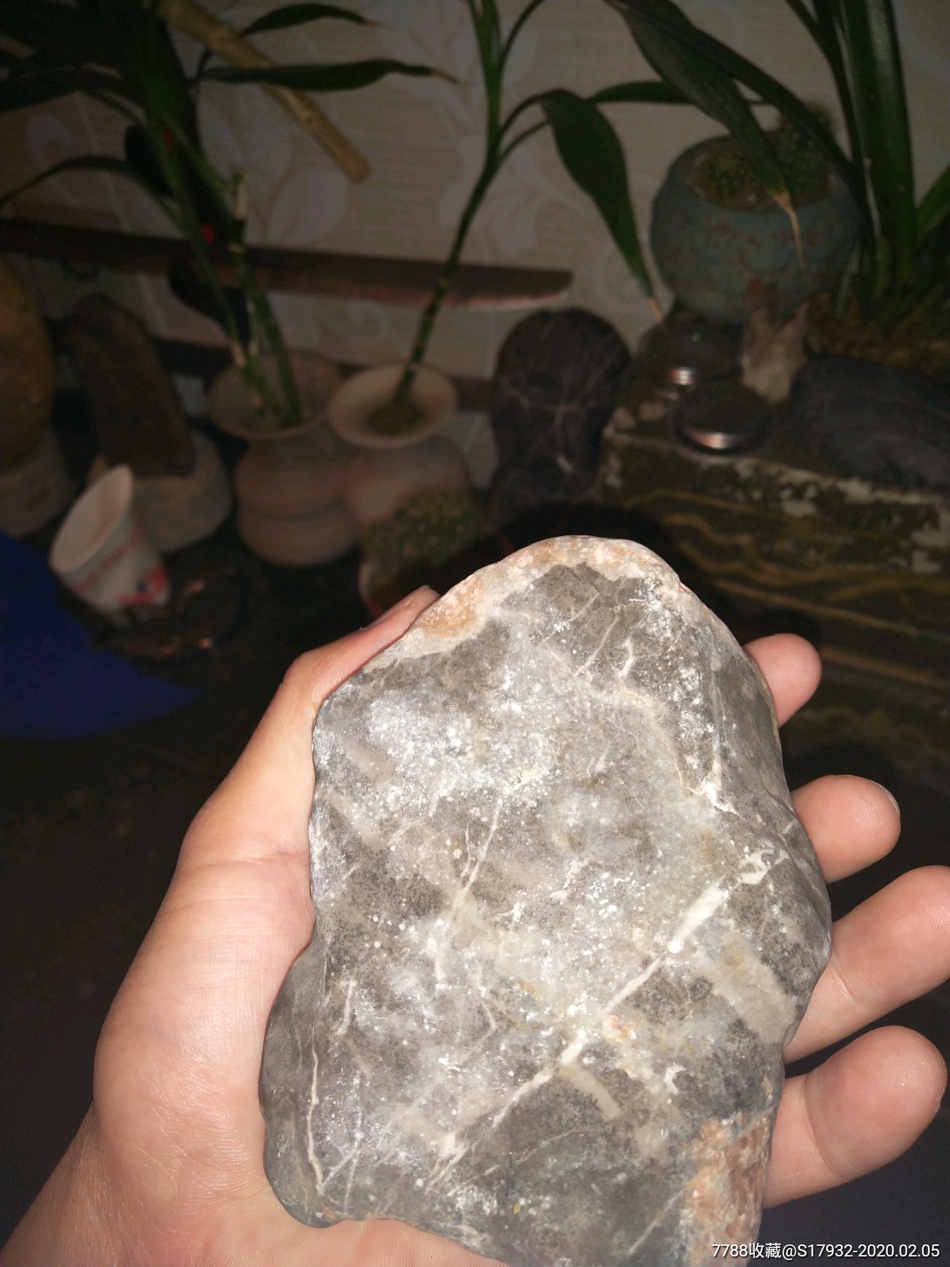 炎水玉的简谱_水玉_炎水玉是什么