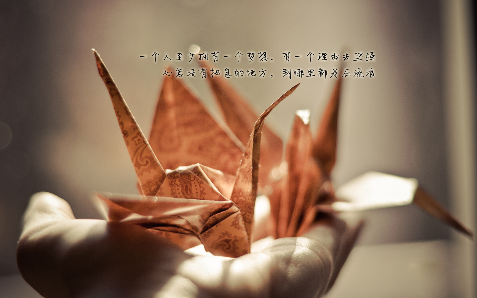 繁花落梦是什么意思_梦落繁花_繁花落梦依兮破解版