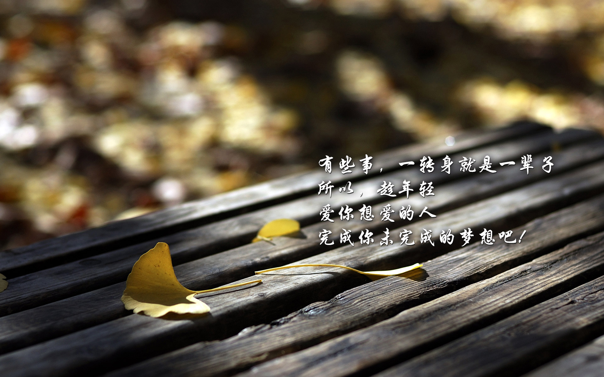 梦落繁花_繁花落梦是什么意思_繁花落梦依兮破解版