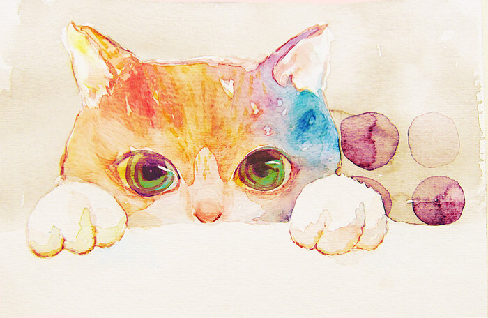 猫王国_王国猫咪_王国猫车