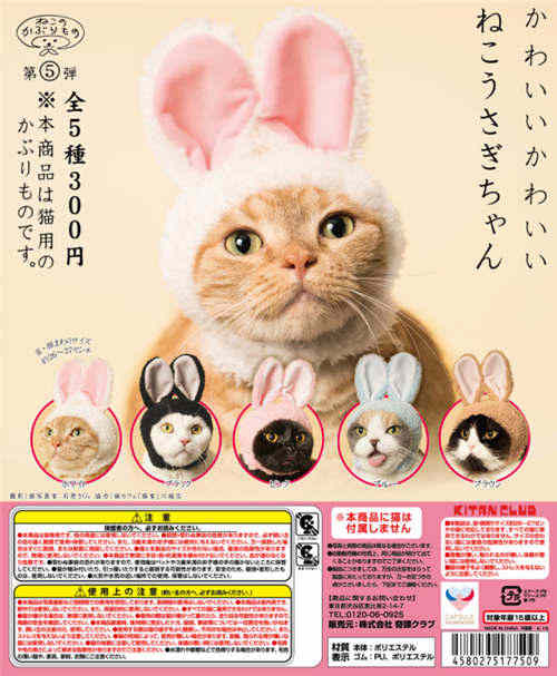 猫咪app官网直接进入_cfa猫咪官网_美团网官网直接进入