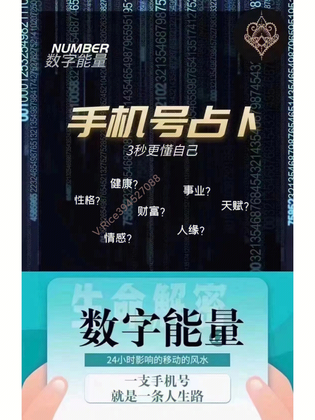 飞瓜快数_飞瓜快数_飞瓜快数