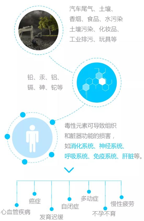 我的世界1.17版本_世界1.6版本_世界1.2版本