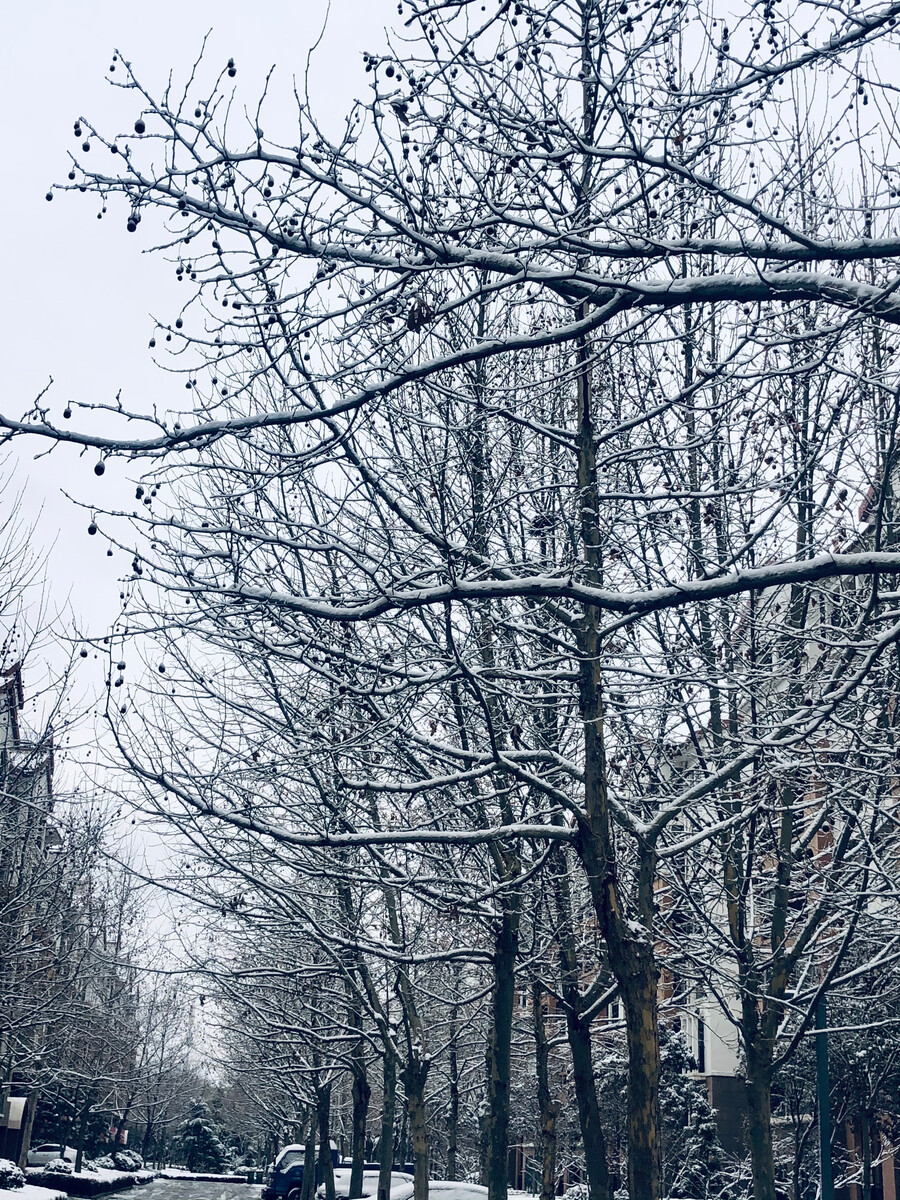 解落三秋叶能开二月花写的是什么_解落三秋叶能开二月花写的是什么_解落三秋叶能开二月花写的是什么