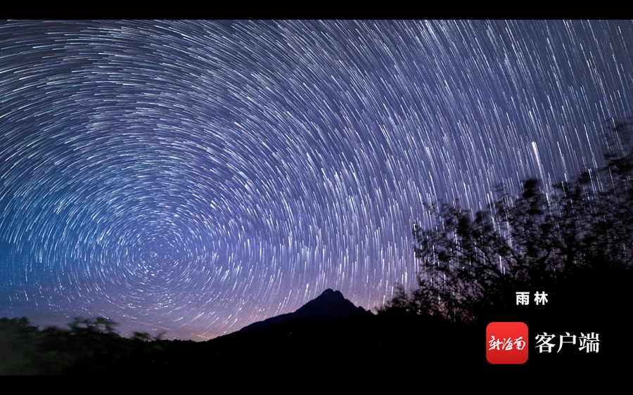 光遇雨林散落的星光_光遇雨林散落星光在哪_光遇雨淋散落的星光