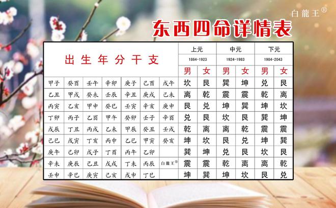 相逢恨在未嫁时前几句_恨不相逢未嫁时是什么生肖_相逢生肖嫁恨时是什么动物