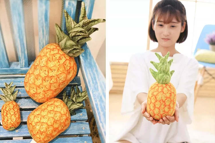 菠萝包轻小说收费贵_菠萝包轻小说上架_菠萝包轻小说平台