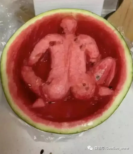 甄嬛传全集免费完整版视频西瓜_西瓜视频_刘伟元的旅行最新视频西瓜
