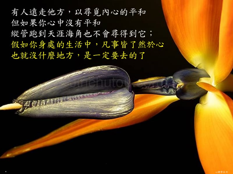 心灵终结_终结心灵盟军步兵_心灵终结终结者