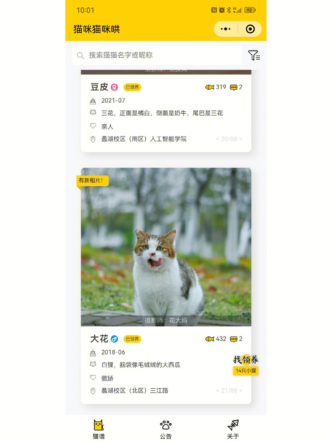 猫编程_编程猫是真正的编程吗_编程猫加盟条件和费用