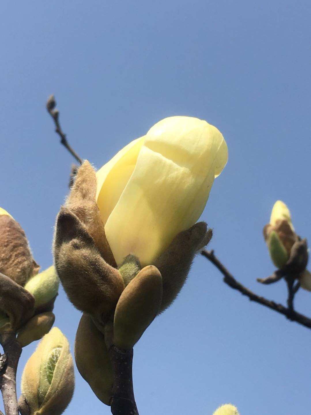 春风楼_春风楼是什么地方_春风楼上柳腰肢全诗