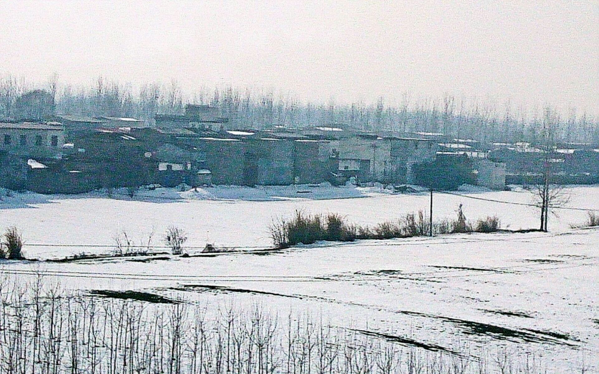 风雪稻香村_风雪稻香村怎么打_风雪稻香村老三怎么开剧情