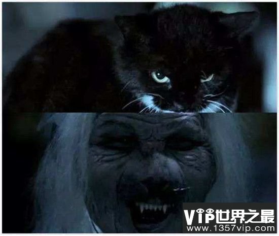 魔鬼猫是什么品牌的_魔鬼猫_魔鬼猫蓝牙耳机怎么样