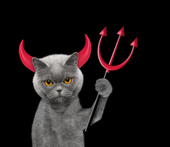 魔鬼猫是什么品牌的_魔鬼猫蓝牙耳机怎么样_魔鬼猫