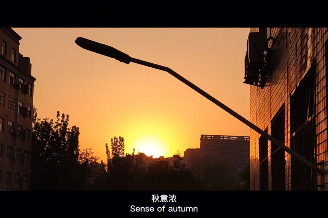 影记免费下载_影记app免费下载_影记免费下载苹果手机