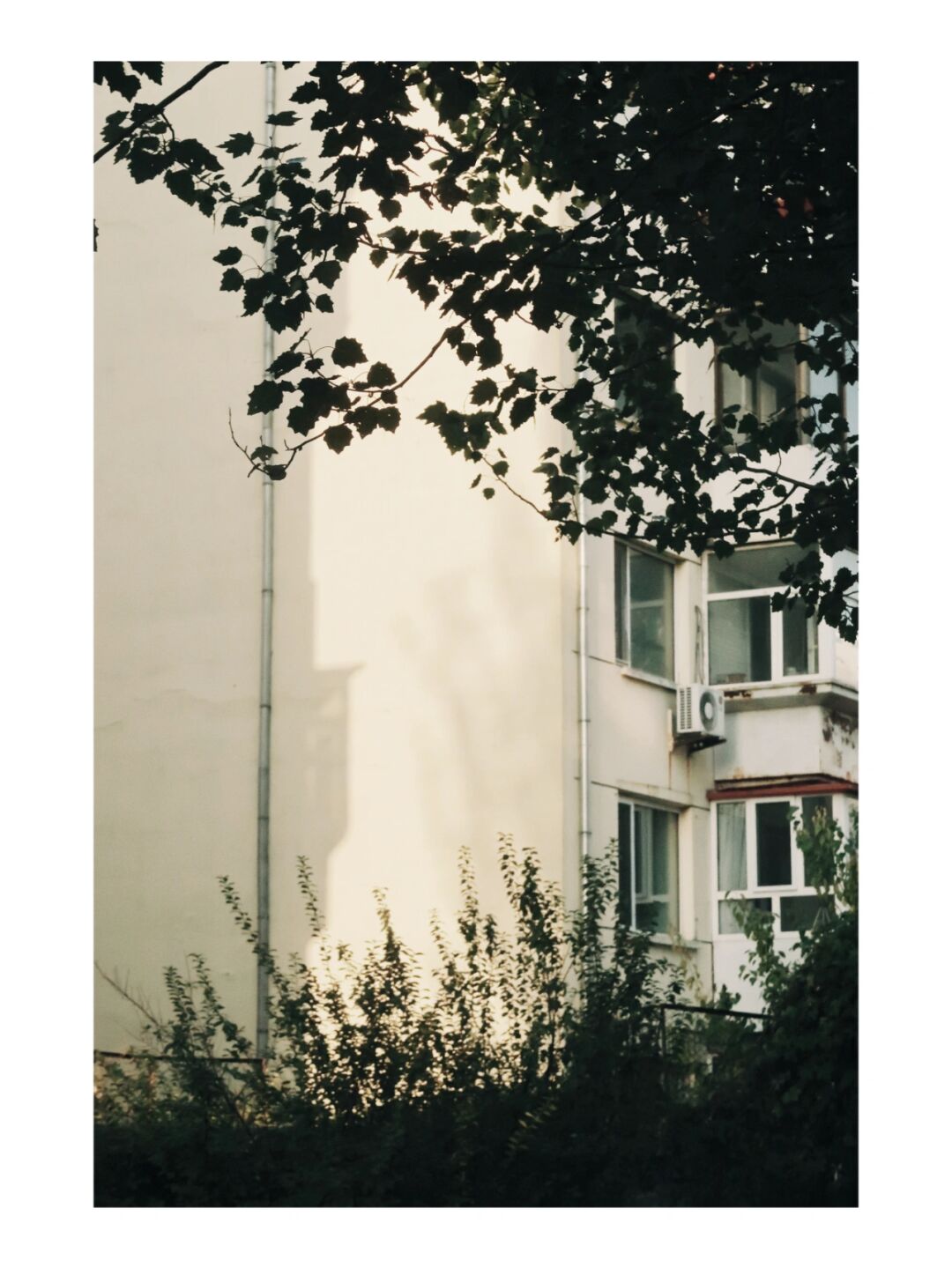 影记免费下载苹果手机_影记免费下载_影记app免费下载