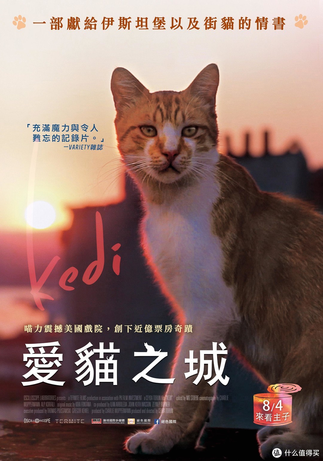 影视猫百度云盘_猫影视_宝宝猫影视