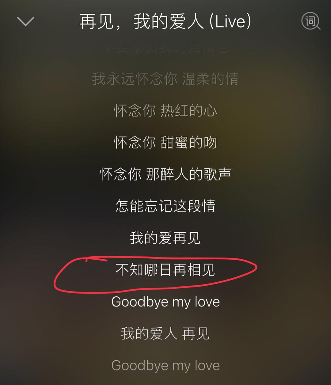 相遇歌词_相遇这首歌_下一次相遇歌词