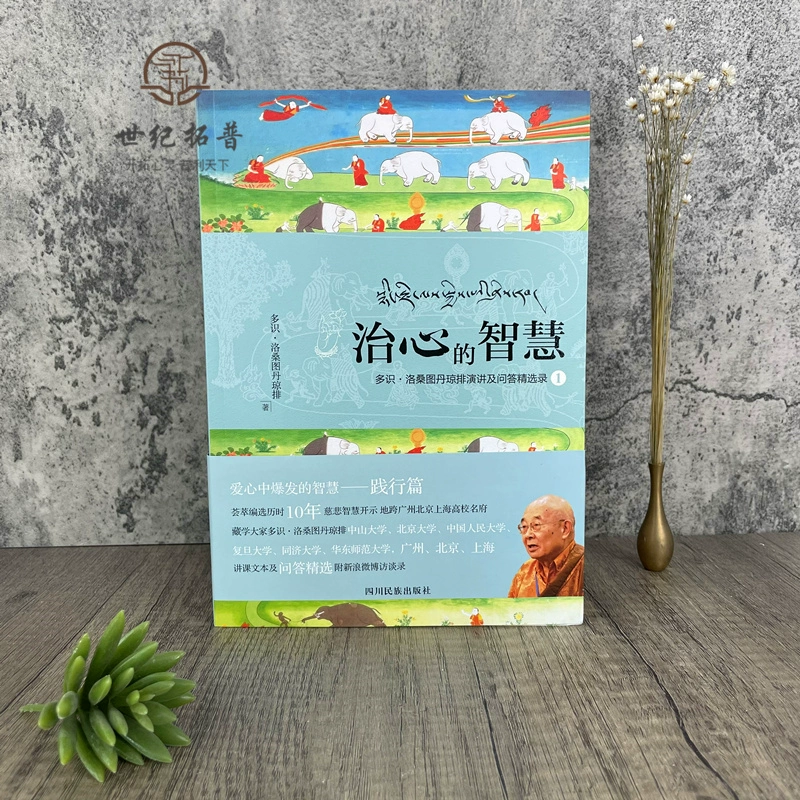 董荼那_董荼那怎么读_董荼那阿会喃