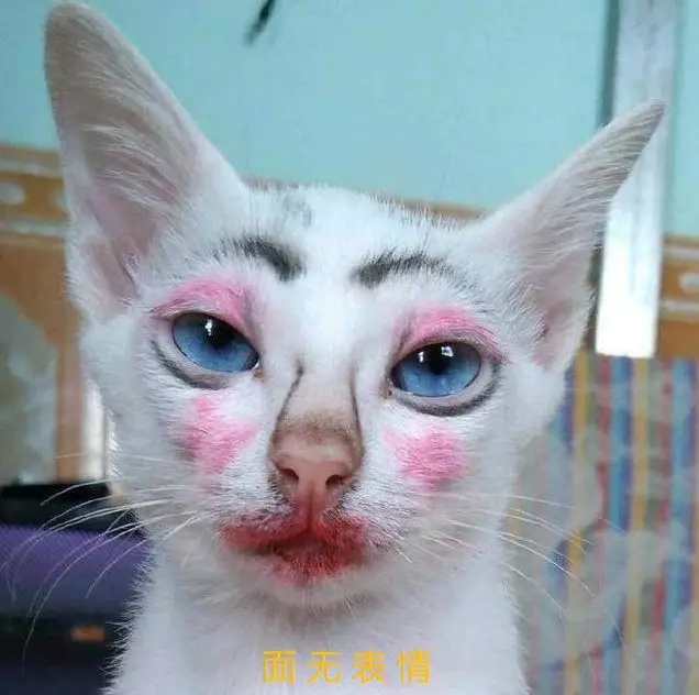 看点乐的图片_乐看点_20日看点