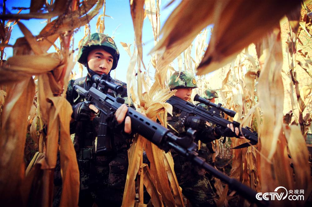 专武凌华合格面板_凌华专武_专武凌华带什么杯子