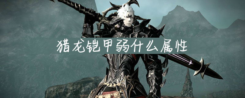 猎龙铠甲_猎龙铠甲弱点_猎龙铠甲cos