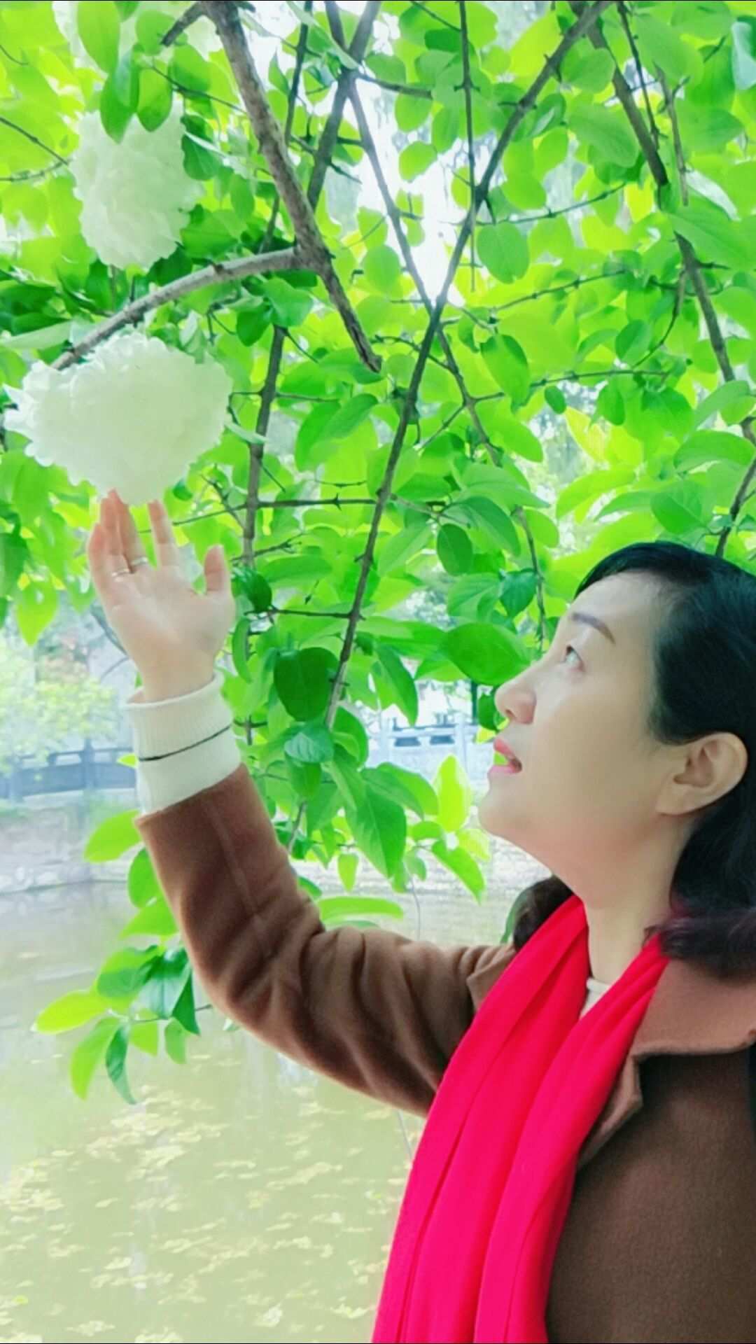 伊人伊人_伊人看看_青鸟在线观看高清视频大全剧