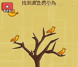小河玩游戏_小河手机游戏_下载小河