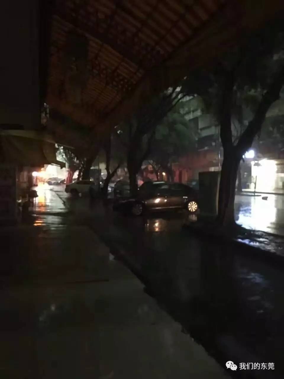 北京水大鱼大网络科技有限公司_北京大水_北京水大会