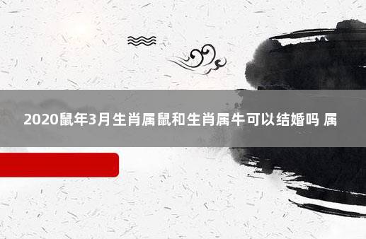 生肖属年龄_2020年属什么生肖_生肖属年表