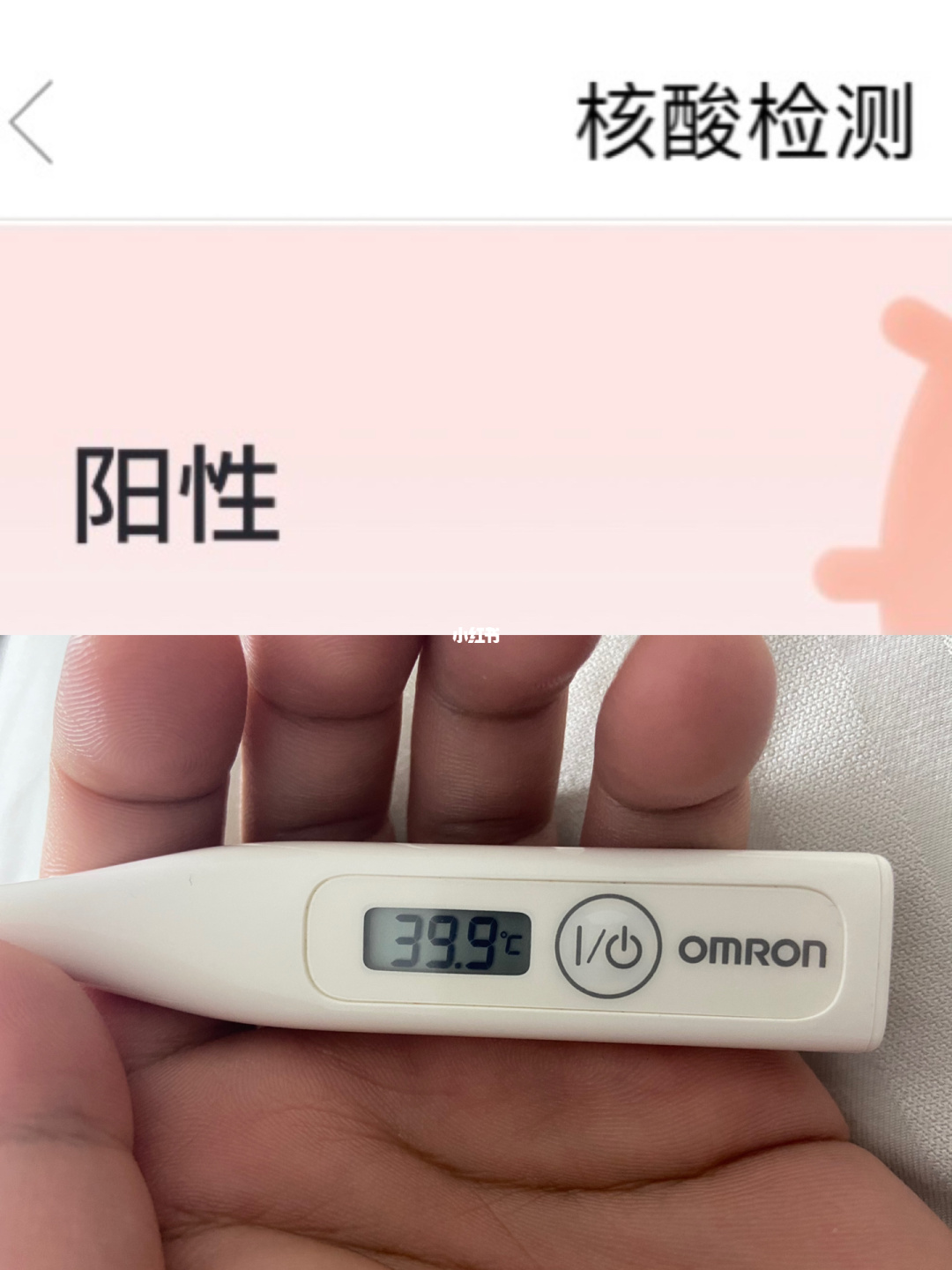 看护家app下载_看护家安卓版下载_下载看护家app软件