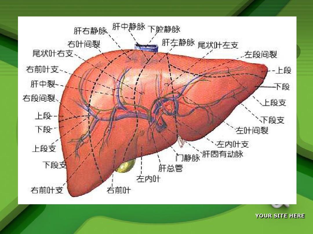 如何在批注上修改文档_word怎么加批注和修改_批注后的文档怎么修改
