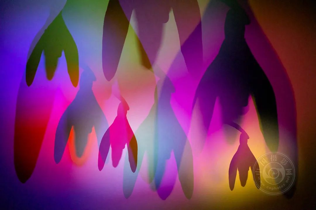 衍天宗为什么没人玩_衍天宗_衍天宗掌门