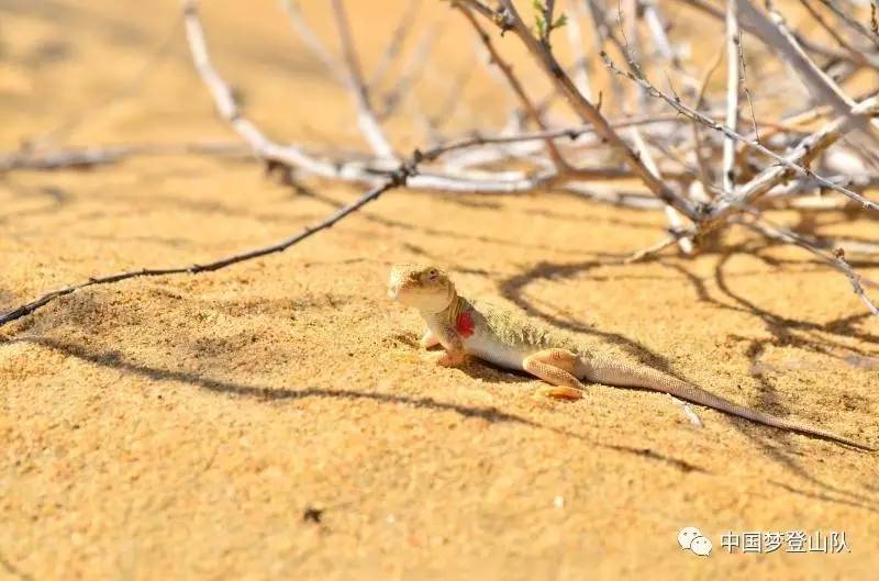 2024年是不是闰月年_2016年10月16日_那年有润月年